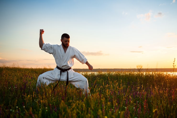 Gratis Bild silhuett av sportig man som tränar karate på ett fält i soluppgången.