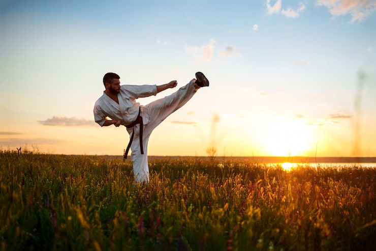 Gratis Bild silhuett av sportig man som tränar karate på ett fält i soluppgången.