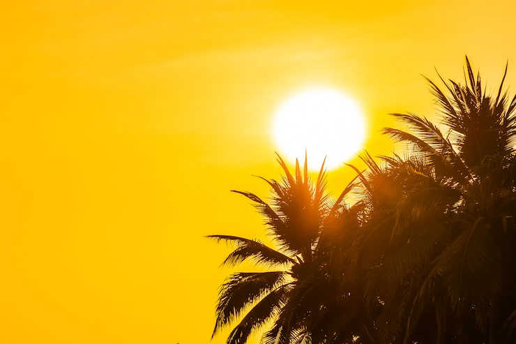 Gratis Foto smuk udendørs natur med himmel og solnedgang eller solopgang omkring kokospalmetræ