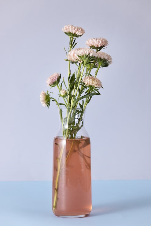 Gratis Foto smukke blomster i vase tapet