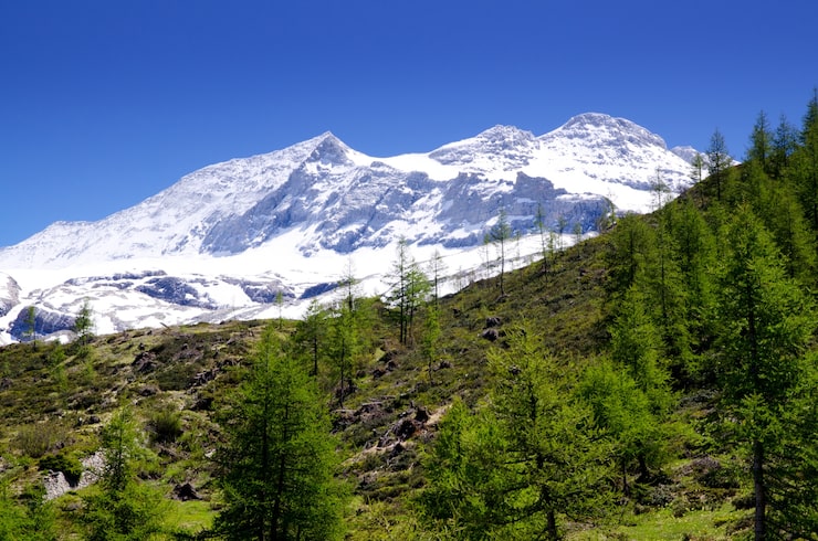 Gratis Bild snöglaciär omgiven av grönska under solljuset och en blå himmel i schweiz