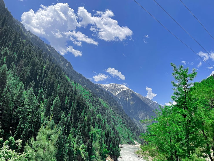 Gratis Bild vacker utsikt över risfält i den frodiga gröna leepa valley kashmir pakistan