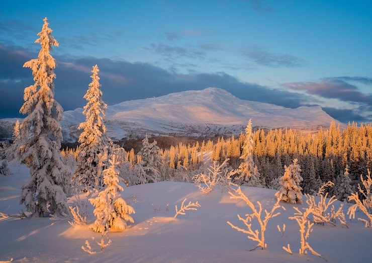 Gratis Bild vacker vinterlandskapsvy under solnedgången