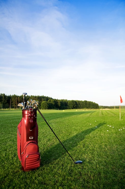 Gratis Bild väska med golfklubbor