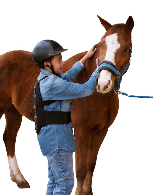 Gratis PSD hest klar til ridesport isoleret
