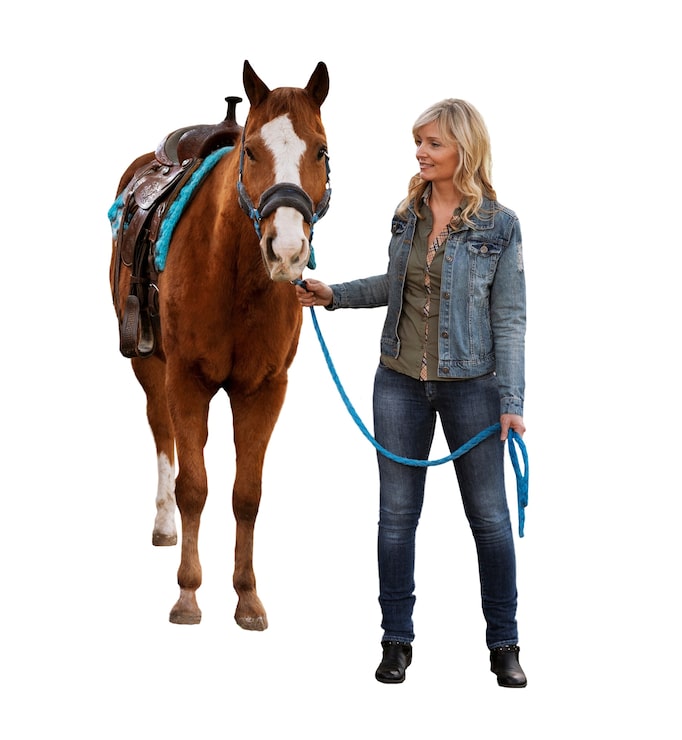 Gratis PSD hest klar til ridesport isoleret