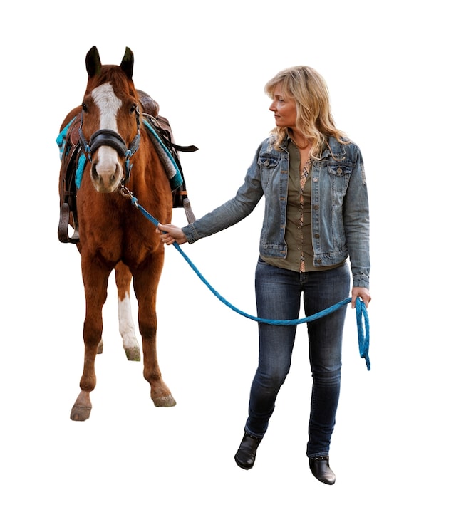 Gratis PSD hest klar til ridesport isoleret