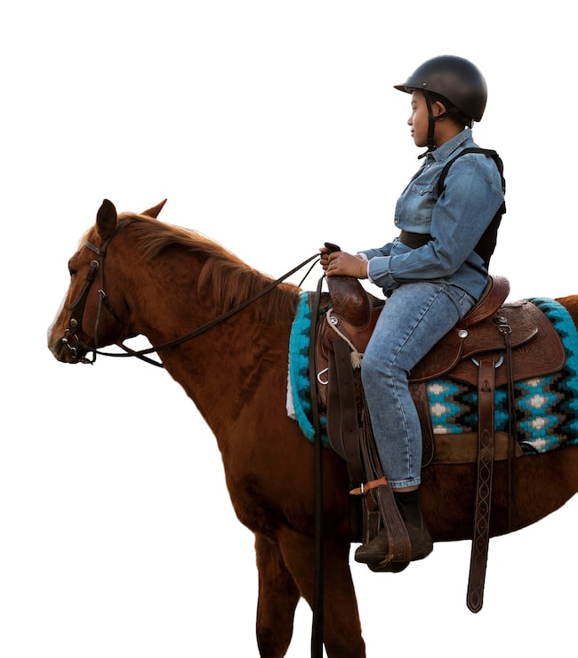 Gratis PSD hest klar til ridesport isoleret