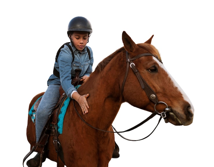 Gratis PSD hest klar til ridesport isoleret