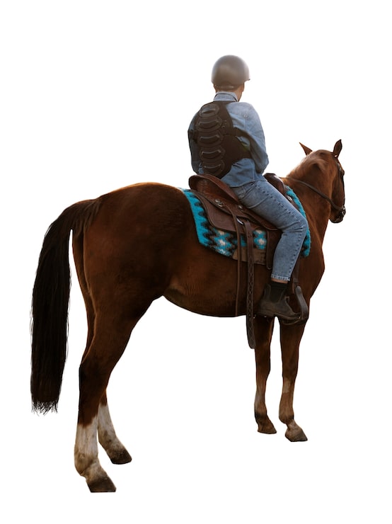 Gratis PSD hest klar til ridesport isoleret