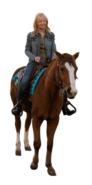 Gratis PSD hest klar til ridesport isoleret