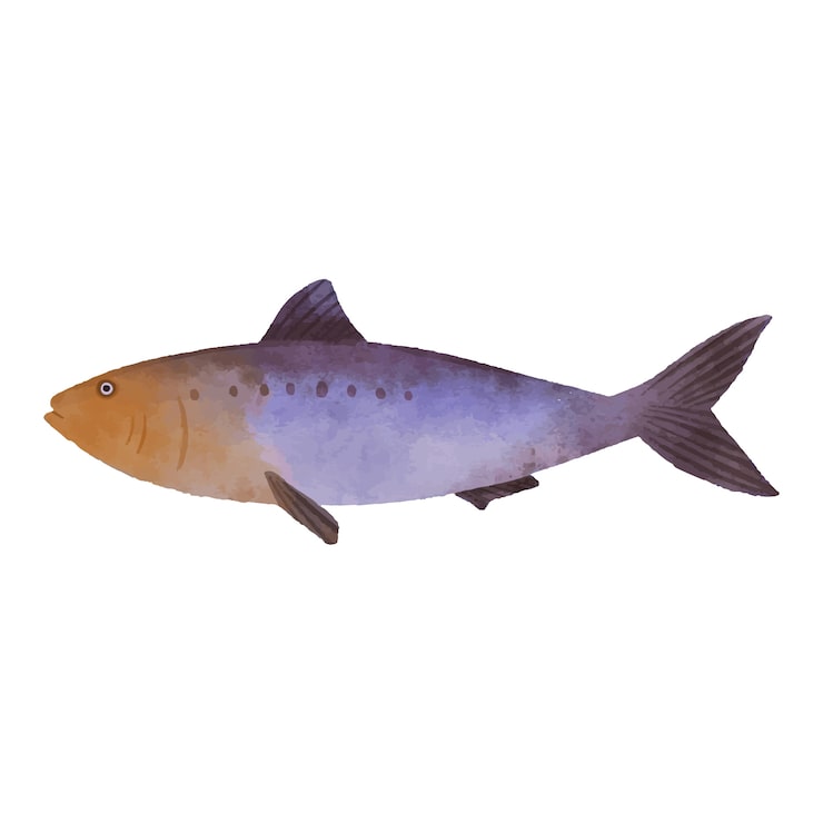 Gratis PSD illustrasjonsdesign av fiskesjømat