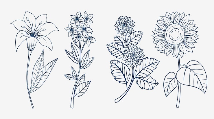 Gratis Vektor handritad enkel blomkontur