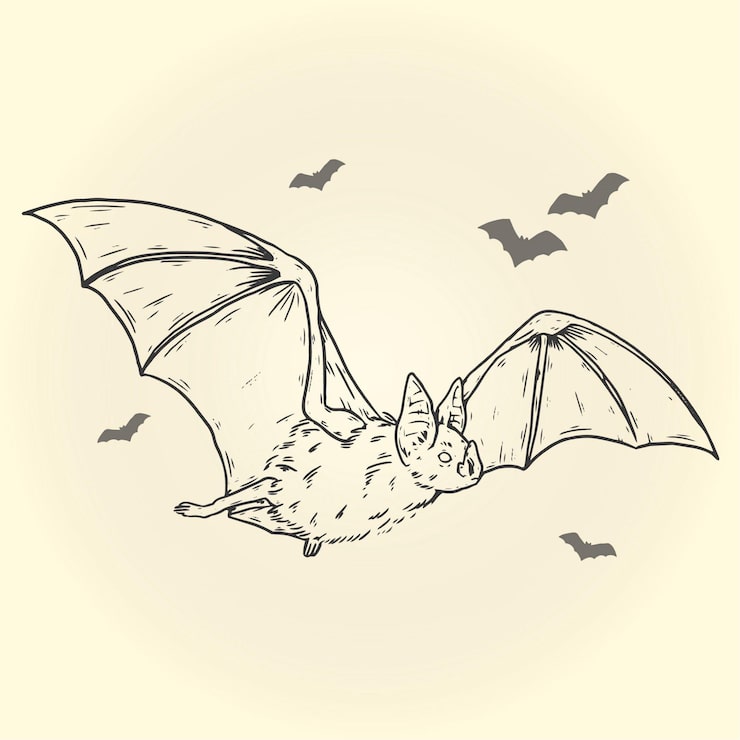 Gratis Vektor handritad halloweenfladdermus