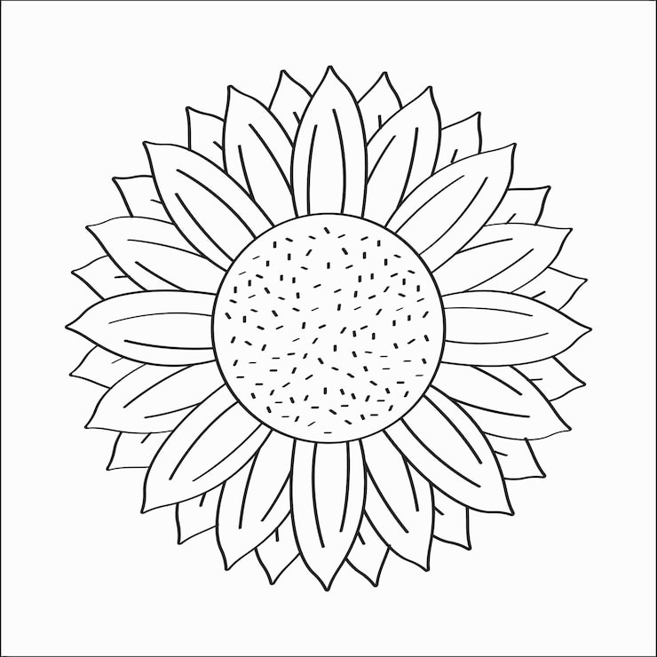 Gratis Vektor handritad solros