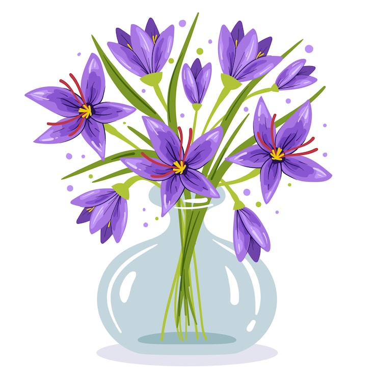 Gratis Vektor håndtegnet safran illustration