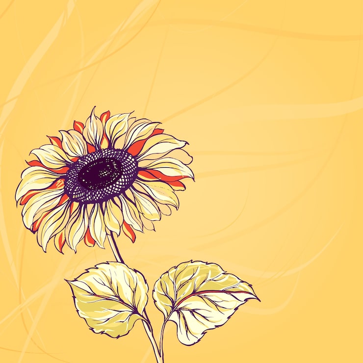 Gratis Vektor illustration av solros