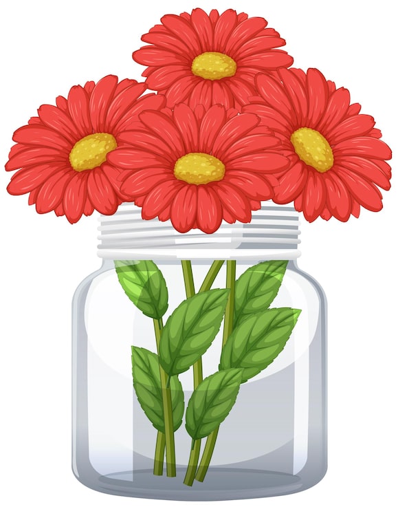 Gratis Vektor røde gerbera margueritter i glas krukke