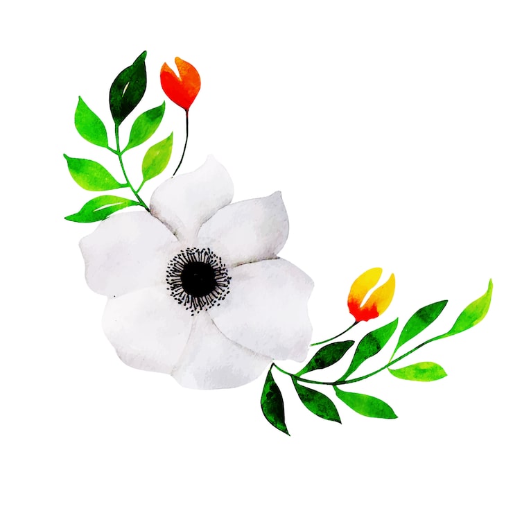 Gratis Vektor akvarell vårens blomsterelement