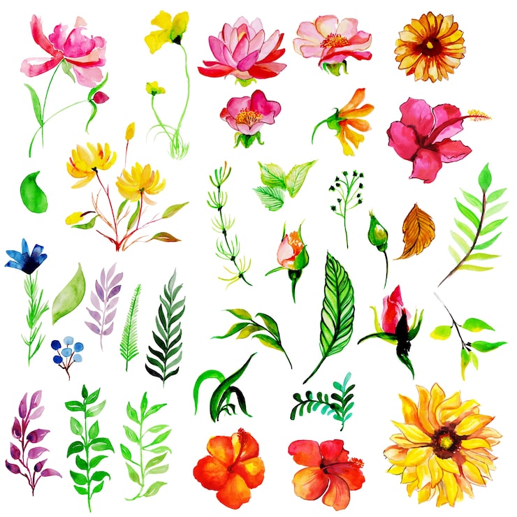 Gratis Vektor akvarellkolleksjon med vårblomster og blader