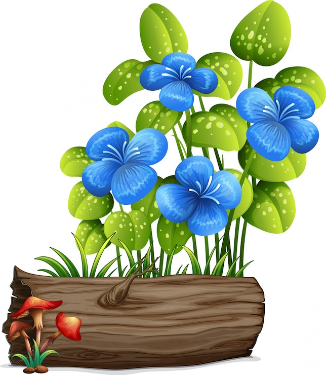Gratis Vektor blå blomster og sopp