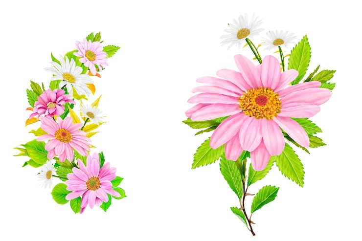 Gratis Vektor blomster margerittbukett og grener design