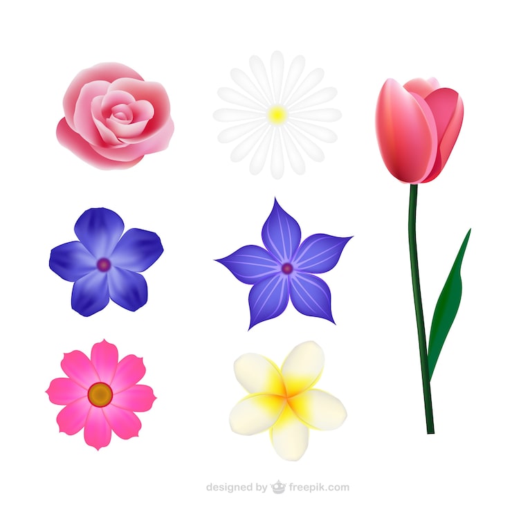 Gratis Vektor blomsterkolleksjon