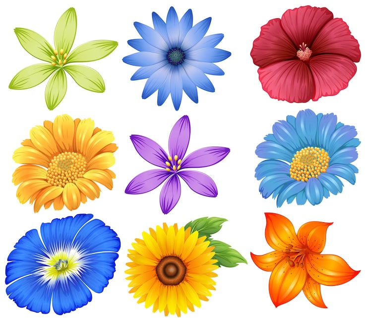 Gratis Vektor fargerike blomster