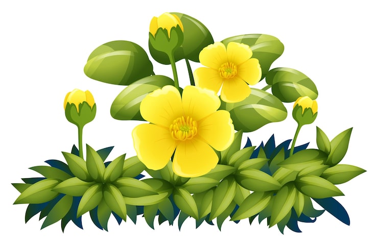 Gratis Vektor gule blomster på hvit bakgrunn