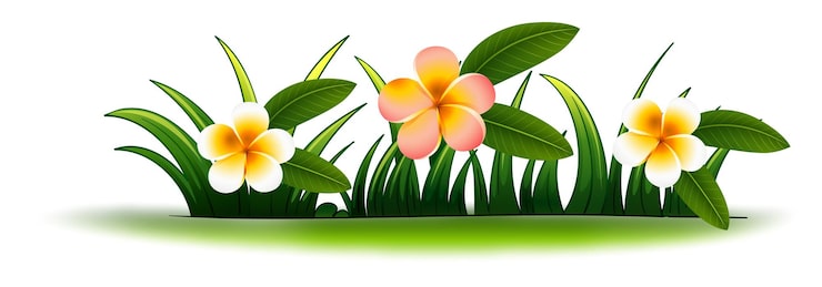 Gratis Vektor plumeria blomster i grønt gress