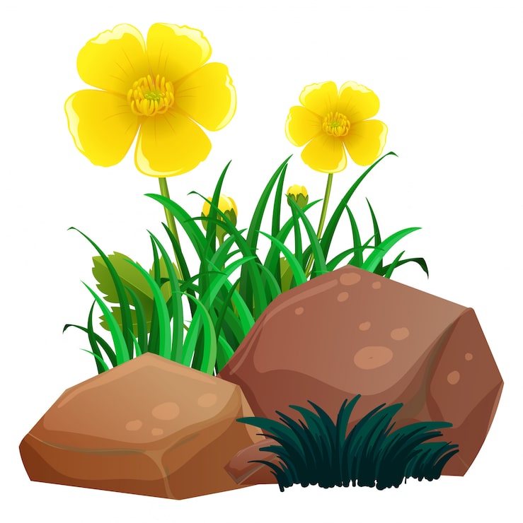 Gratis Vektor presteblomster med gress og steiner