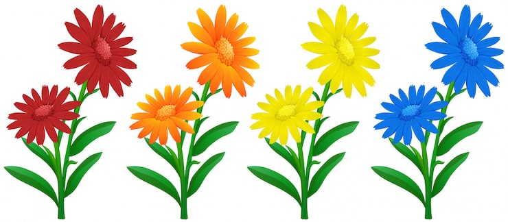 Gratis Vektor ringblomster i fire farger