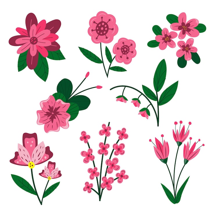 Gratis Vektor samling av vårblomster