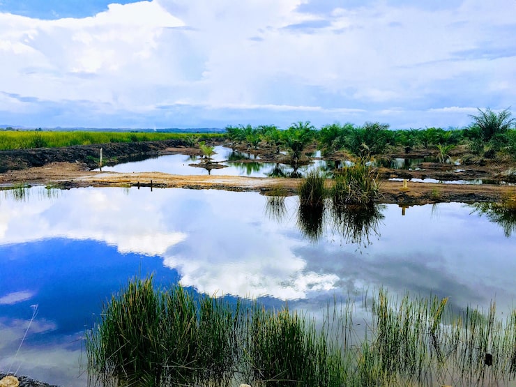 Photo phong cảnh hồ tuyệt đẹp映照với bầu trời