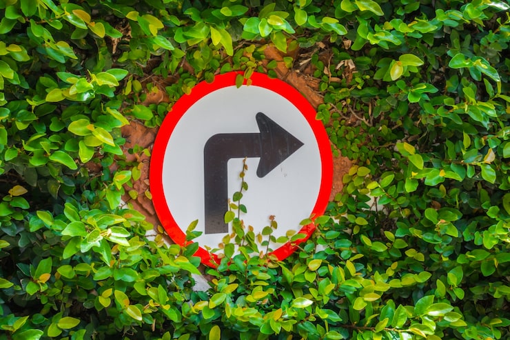 Miễn phí Photo biển báo rẽ phải với lá xanh