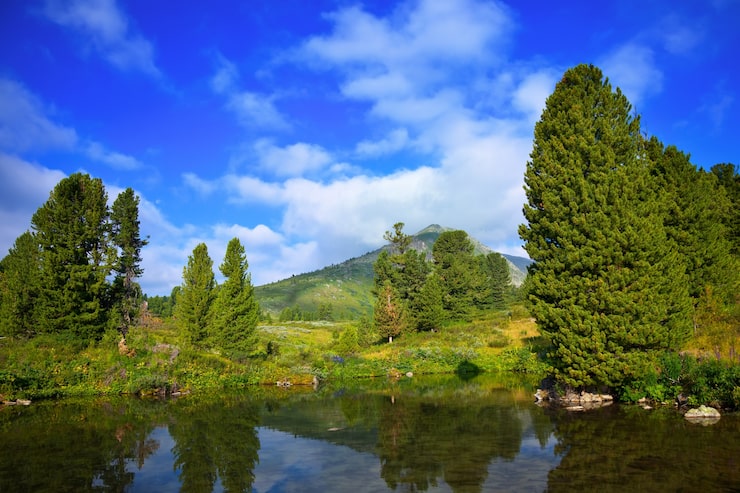 Miễn phí Photo hồ trên núi