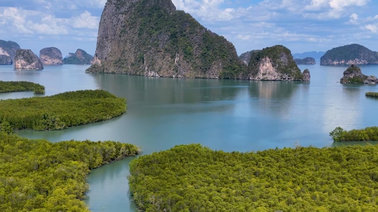 Miễn phí Photo quang cảnh rừng ngập mặn tươi tốt và vách đá vôi ở vịnh phang nga từ trên cao