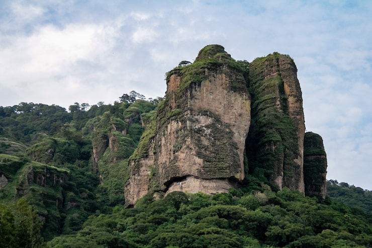 Miễn phí Photo tảng đá khổng lồ ấn tượng, một phần của khu rừng, thảm thực vật đang lấn chiếm
