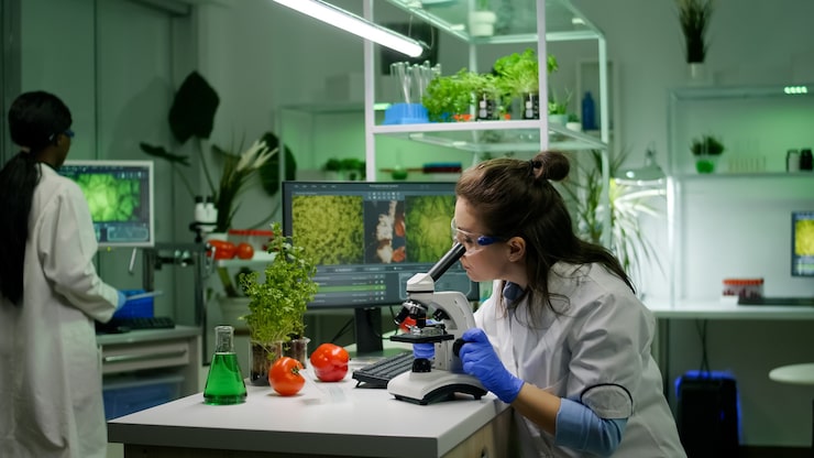 Ilmainen Kuva biologi tutkija analysoi biologista objektilasia maatalousosaamista varten mikroskoopilla