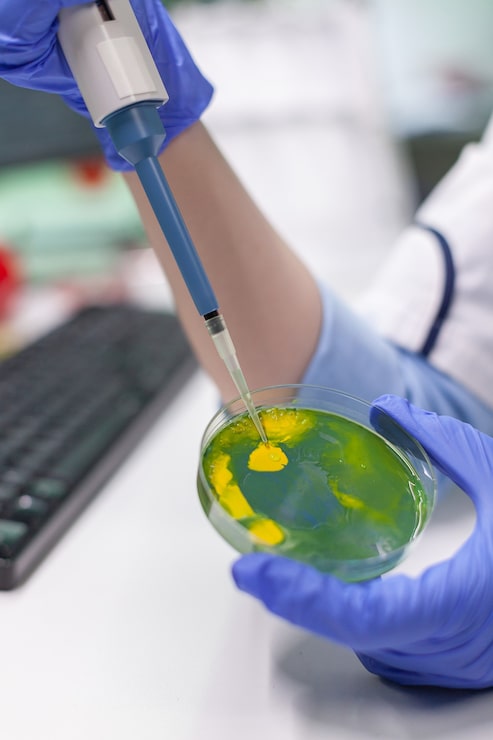 Ilmainen Kuva biologi tutkija käyttää mikropipettiä ja petrimaljaa