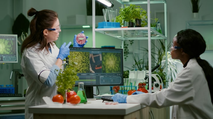 Ilmainen Kuva lääketieteellinen tiimi keskustelee veganilihan sisältävästä petrimaljasta ja analysoi gmo:ta