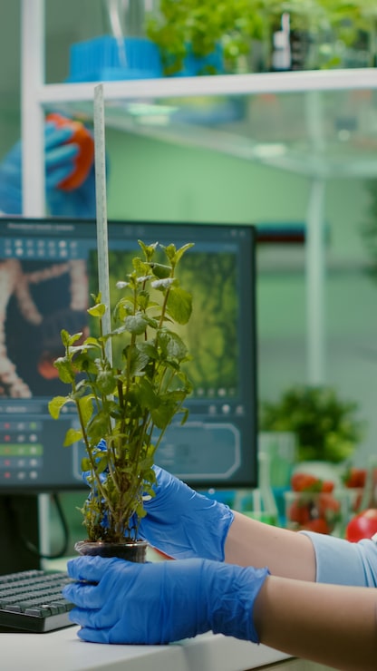 Ilmainen Kuva tutkija nainen mittaa ekologista taimea tarkkaillen samalla biologista muuntumista