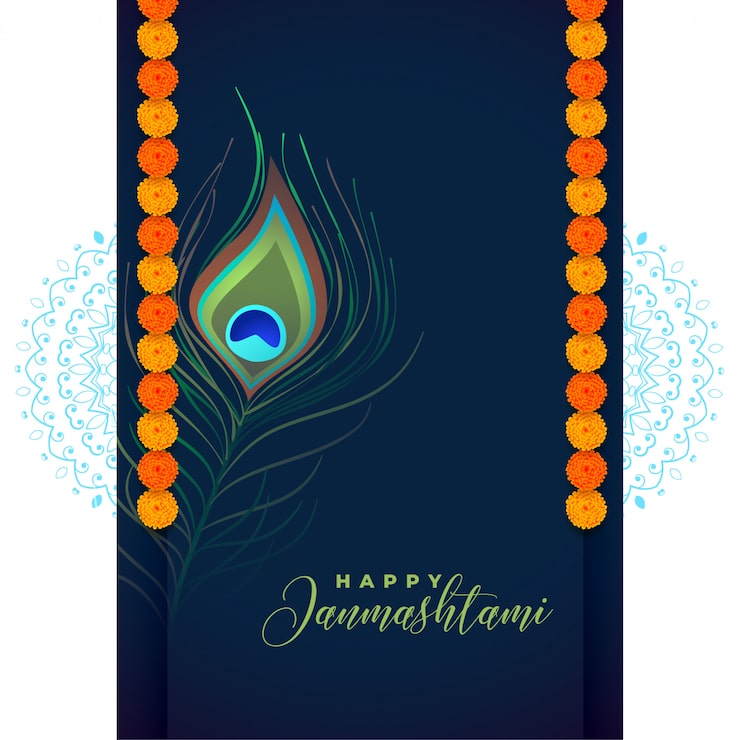 Ilmainen Vektori riikinkukon sulka shree krishna janmashtami -festivaalia varten