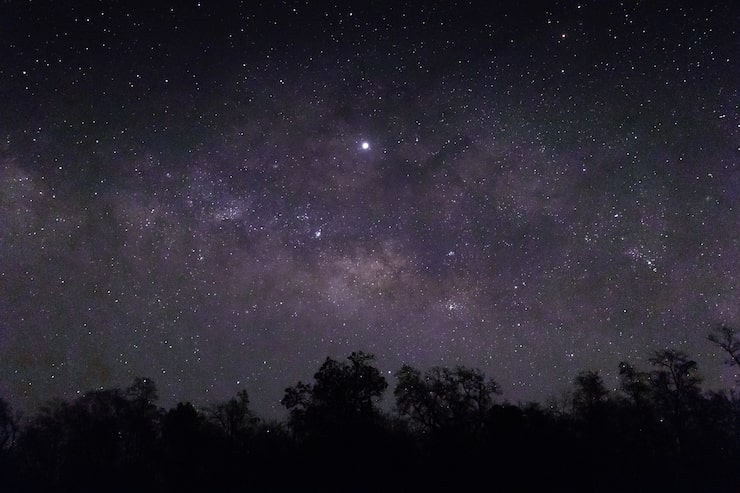 Photo gratuit ciel plein d'étoiles et de silhouettes d'arbres en dessous