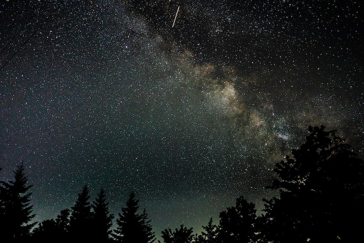 Photo gratuit coup de belle silhouette d'arbres sous un ciel étoilé