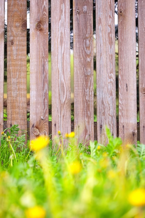 Photo gratuit fond de clôture en bois avec bordure d'herbe