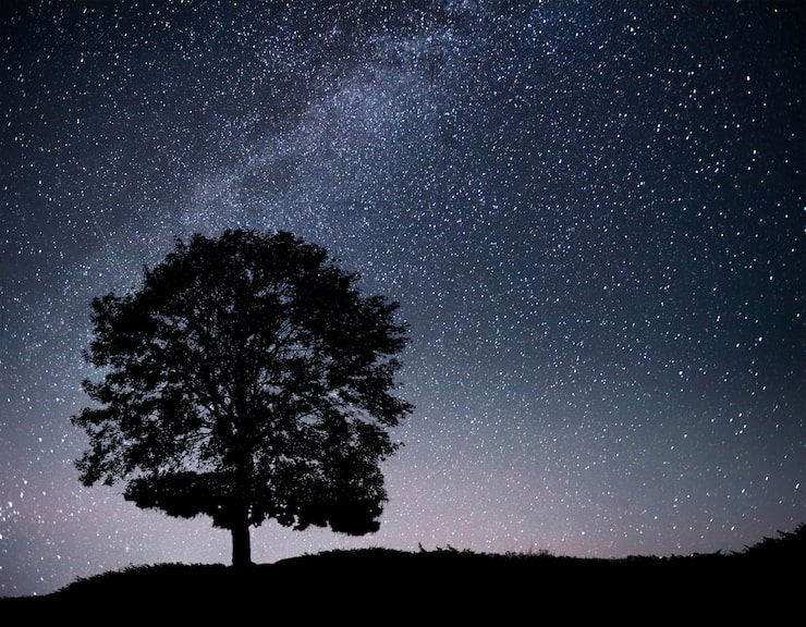 Photo gratuit paysage avec ciel étoilé de nuit et silhouette d'arbre sur la colline. voie lactée avec arbre solitaire, étoiles filantes.