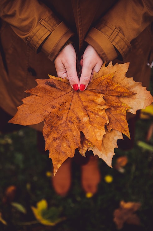 Photo gratuit une photo verticale d'une femme avec une manucure rouge portant un manteau brun tenant des feuilles d'érable d'automne
