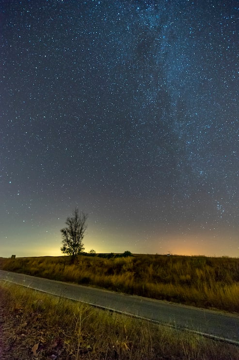 Photo gratuit une photo verticale d'une route vide entre la verdure sous un ciel bleu étoilé