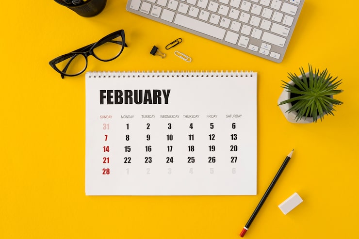Photo gratuit planificateur de vue de dessus calendrier de février et plante